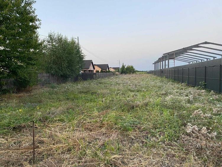 Teren de 2500 mp, în Bogdan Vodă