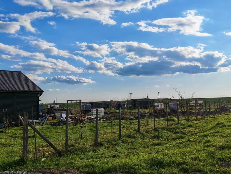 Teren Construcții intravilan de 1096 mp, în Corbu