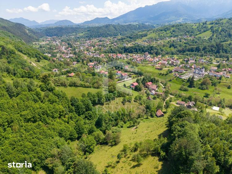 Teren de 11381 mp, în Moieciu