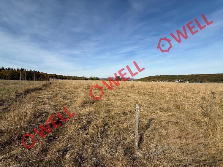 Teren intravilan de 5730 mp, în Periferie