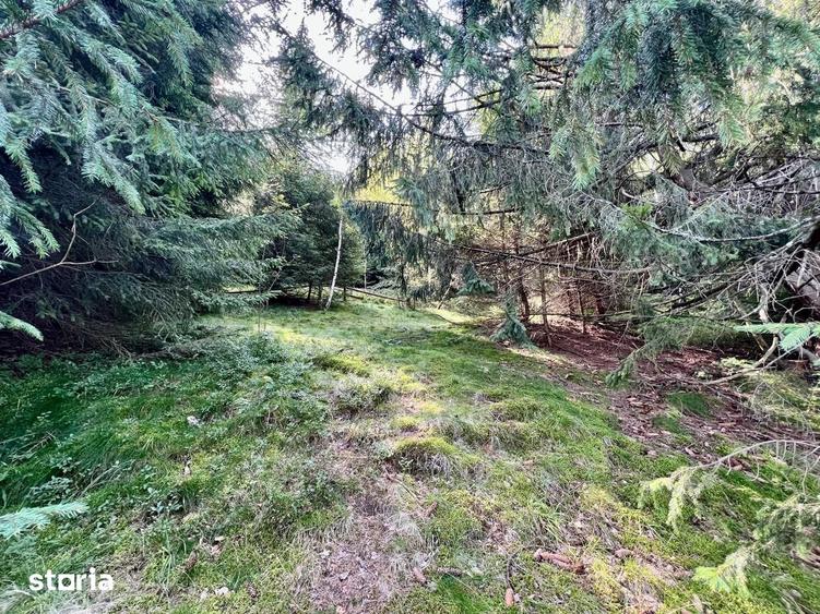 Teren de 11200 mp, în Gura Râului