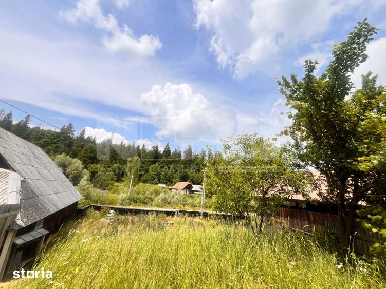 Casă cu 3 camere cu Teren 7400 Mp în Brusturi