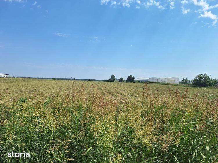 Teren de 23298 mp, în Ciorogârla