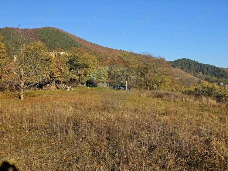 Teren de 6874 mp, în Alexandru cel Bun