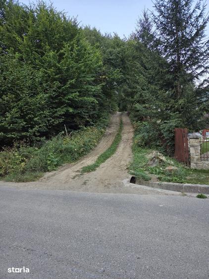 Teren de 5000 mp, în Tarcău