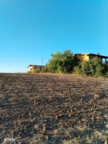 Teren de 5000 mp, în Ciolpani