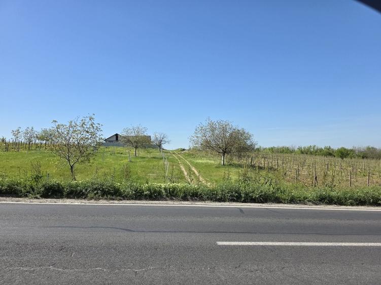 Spațiu comercial, în Cârcea