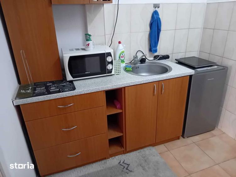 Garsonieră în Șagului