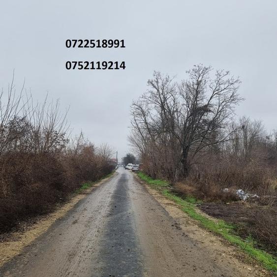 Teren Construcții extravilan de 4500 mp, în Palanca