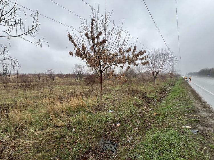 Teren Construcții extravilan de 8874 mp, în Tărtășești