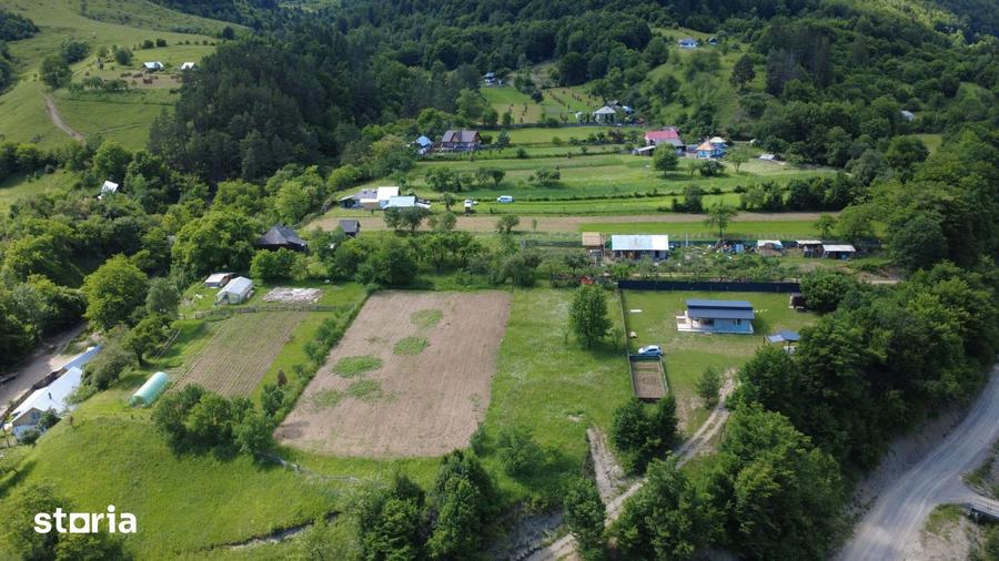 Teren de 1800 mp, în Pângărați
