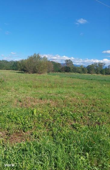 Teren Intravilan\699 Mp, 45 Mp\ Caransebes\ Zona Teius - 4