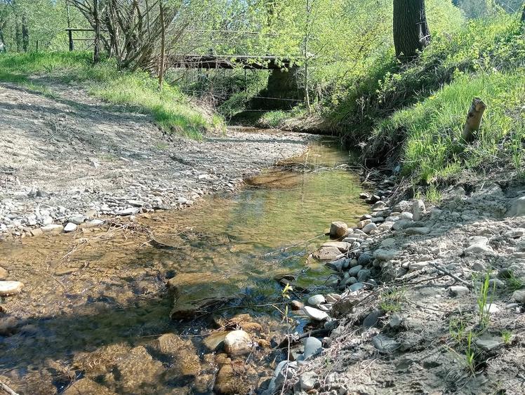 Teren de 1800 mp, în Varvata