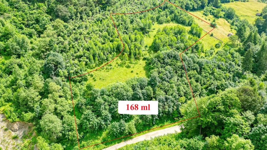Teren agricol extravilan de 31733 mp, în Moieciu de Jos
