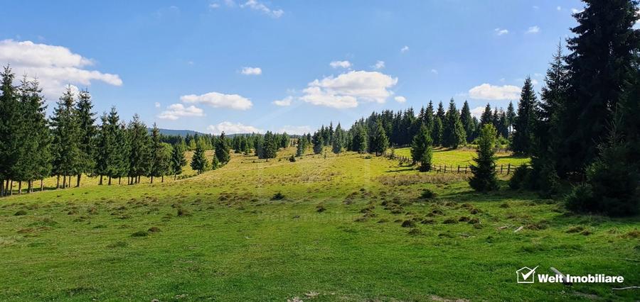 Teren Construcții intravilan de 10814 mp, în Beliș