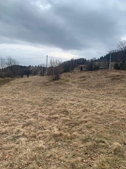 Teren Construcții intravilan de 1500 mp, în Rogojel
