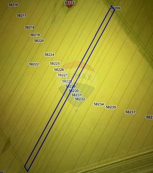 Teren agricol de 5000 mp, în Jilava