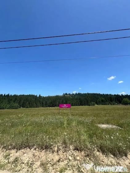 Teren de 40250 mp, în Comandău
