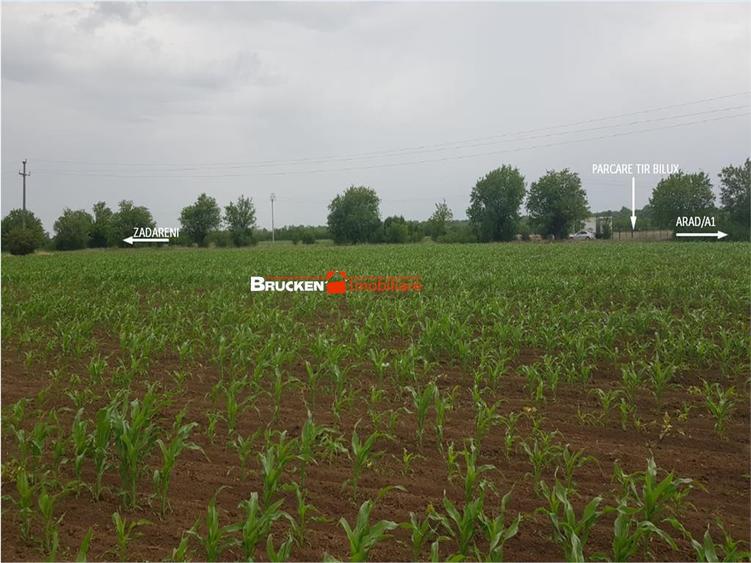 TEREN CU POTENTIAL INDUSTRIAL | 4,35 HA | ARAD, ZADARENI - 6