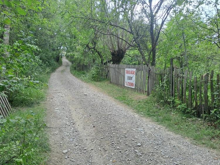 Teren în Șotrile