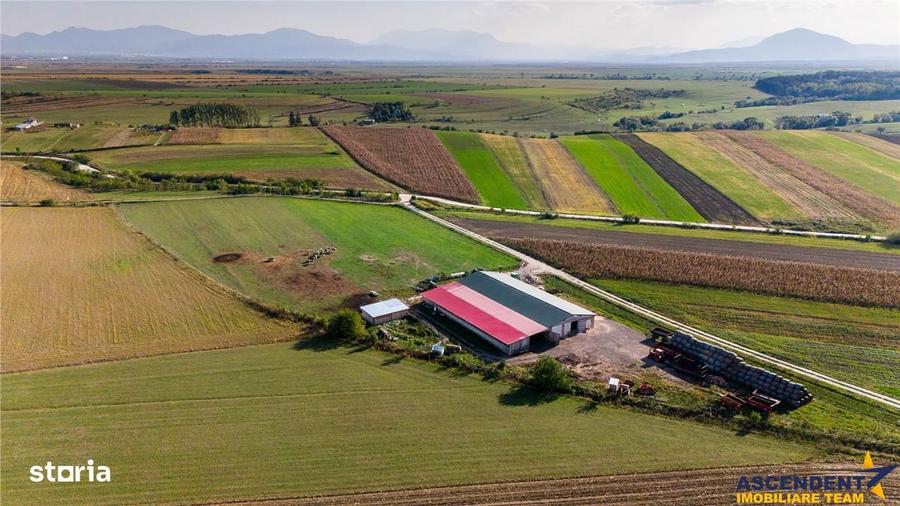 Teren de 18000 mp, în Feldioara