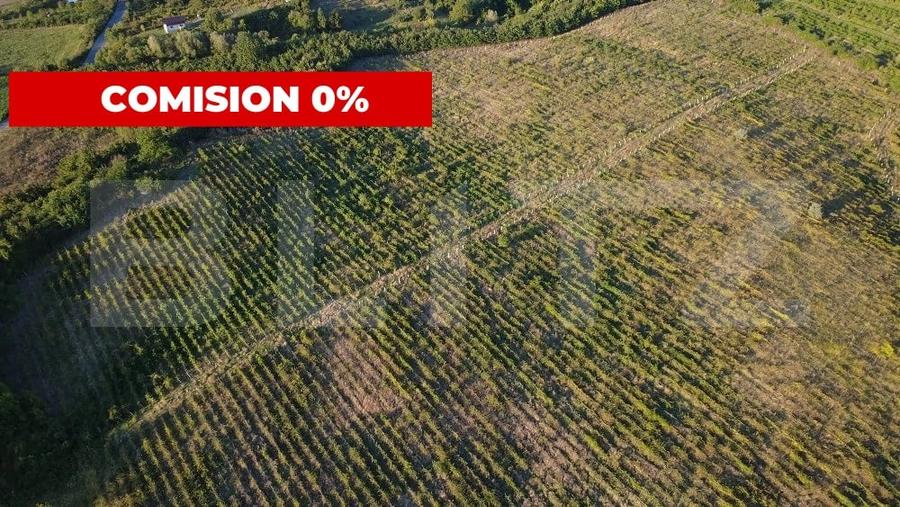 Teren agricol extravilan de 56200 mp, în Bucov