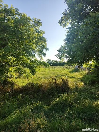 Teren de 1100 mp, în Bazoș