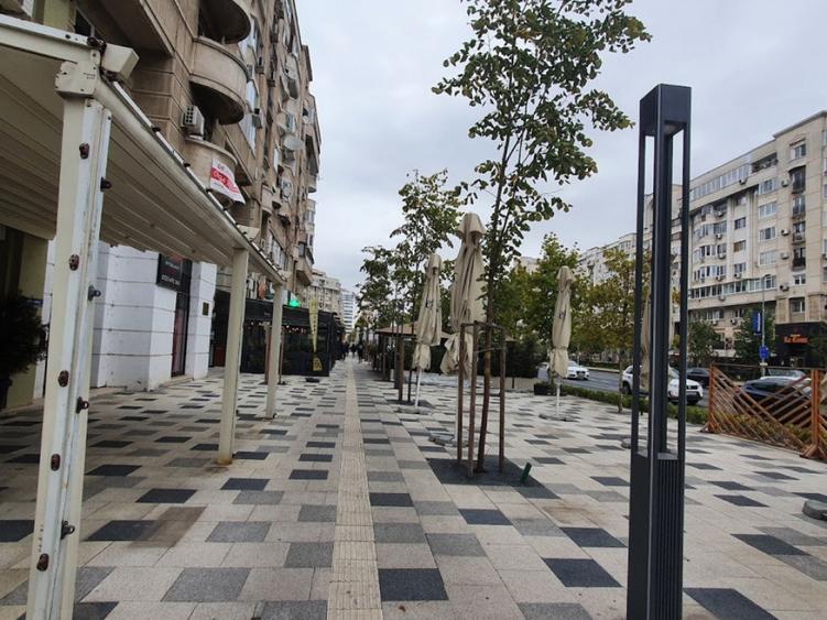 Spatiu comercial, stradal , de inchiriat in Bdul Decebal - 7