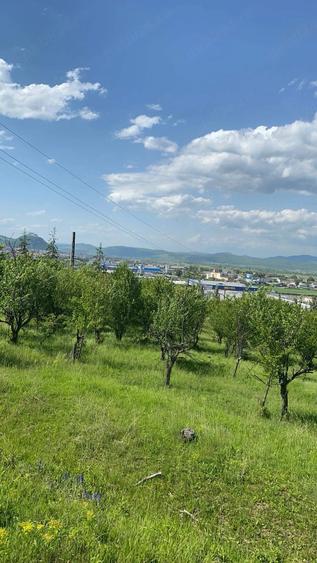 Teren de 2850 mp, în 700
