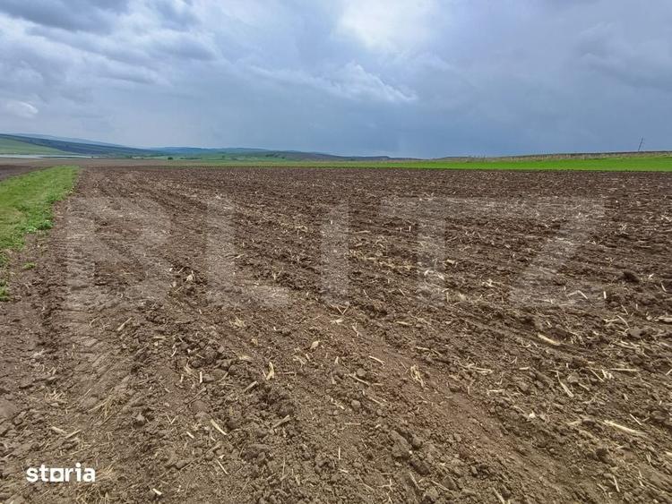 Teren de 5000 mp, în Bosanci