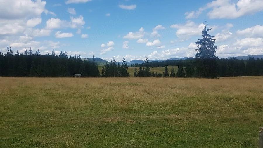 Teren de 160000 mp, în Breaza