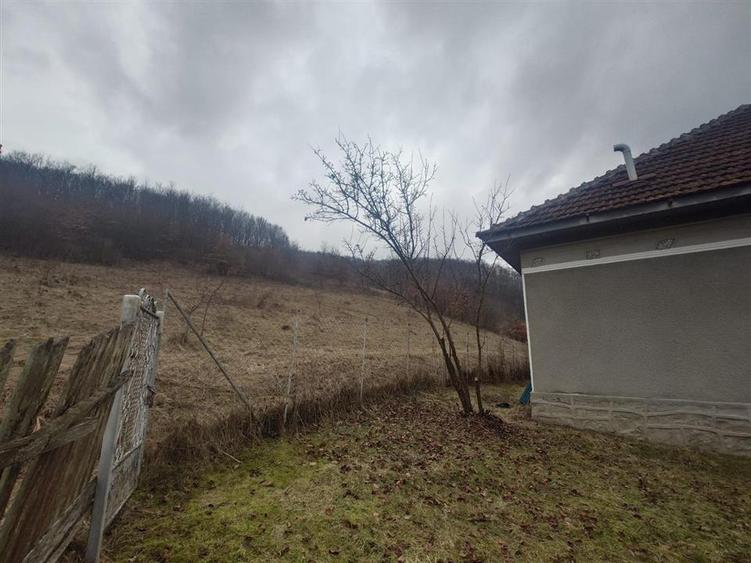 Casă cu 3 camere cu Teren 12861 Mp în Luncoiu de Jos