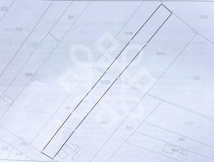 Teren Construcții intravilan de 4031 mp, în Negreni