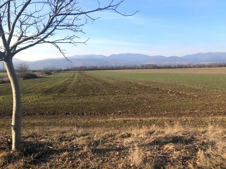 Teren Construcții de 8100 mp, în Vințu de Jos