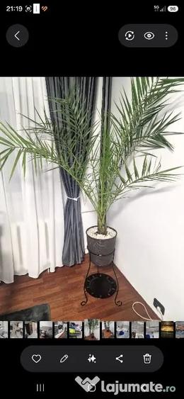Apartament cu 2 camere decomandat în Crângași