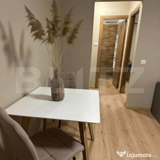 Apartament renovat de vanzare, 40 mp zona Micro 15 - 4