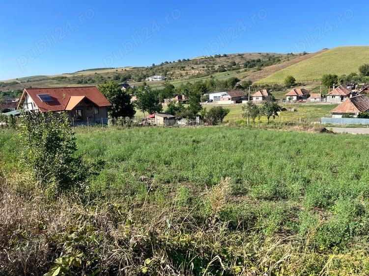Teren de 1303 mp, în Pata