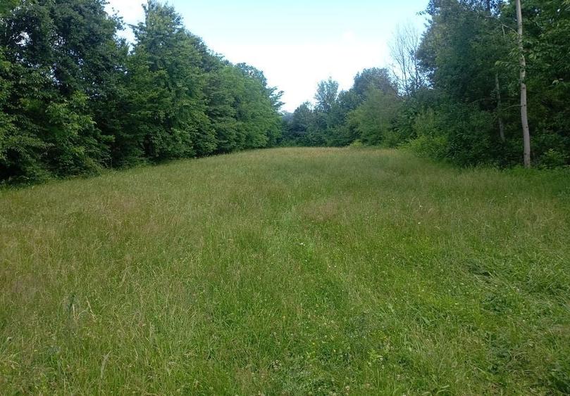 Teren Construcții intravilan de 1773 mp, în Urleta