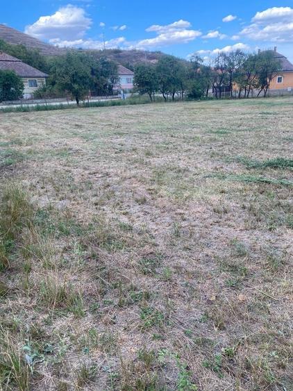 Teren de 3000 mp, în Stejeriș
