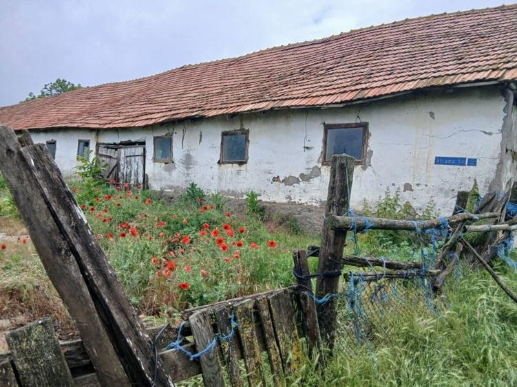 Spațiu comercial, în Vasile Alecsandri