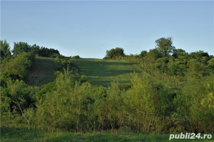 teren intravilan - 3