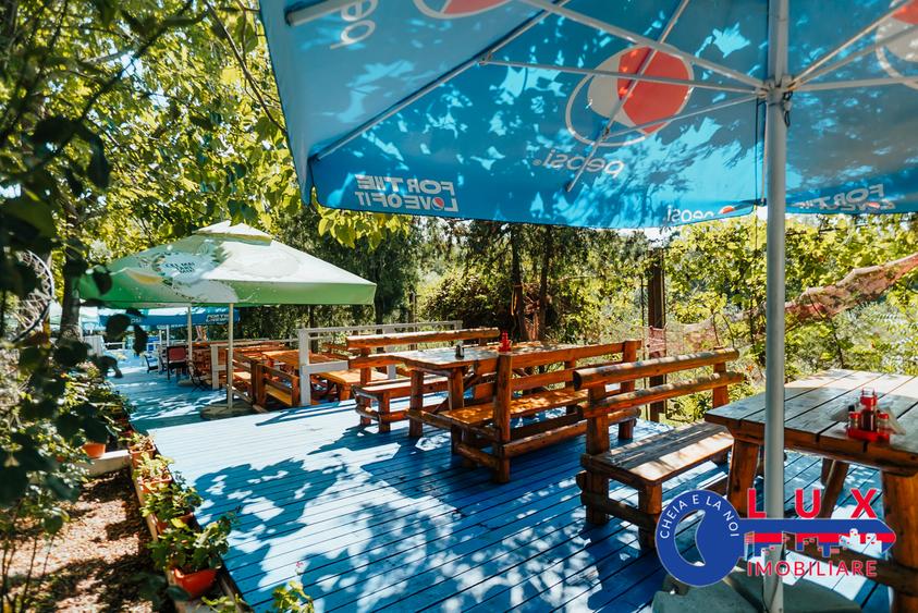 Casă cu 23 camere cu Piscina în Dunavățu de Jos