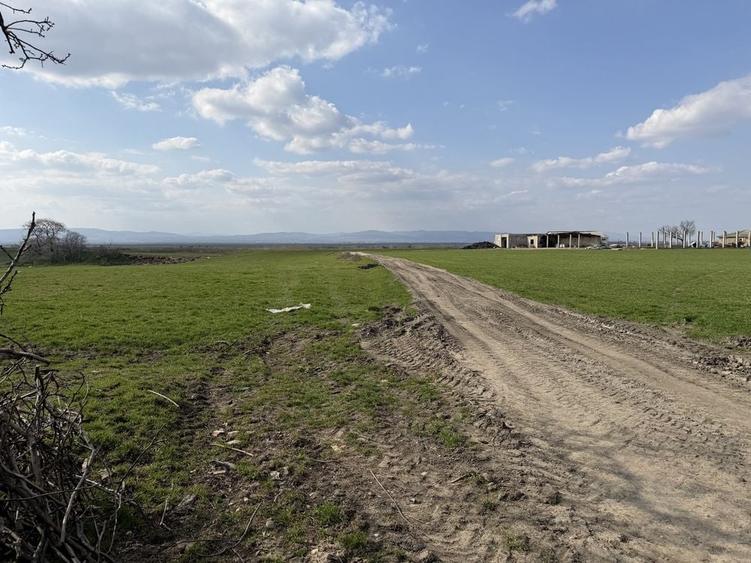 Teren de 130000 mp, în Armeni