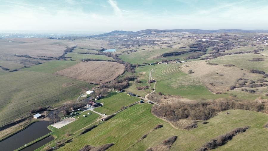 Teren agricol extravilan de 67500 mp, în Daia
