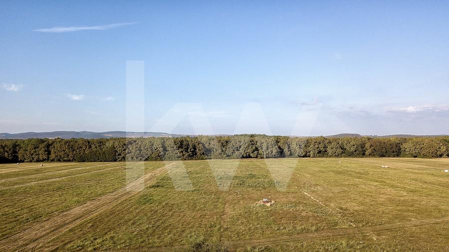 Teren agricol extravilan de 600 mp, în Cisnădie