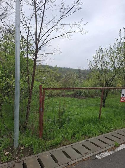 Teren de 3000 mp, în Predeal