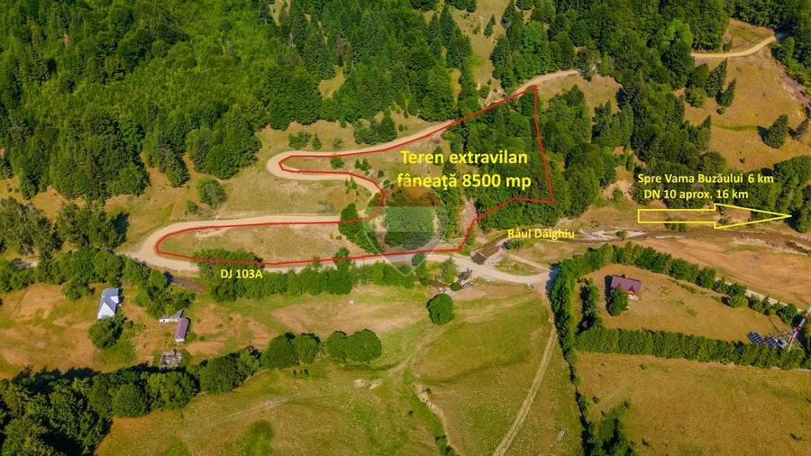 Teren agricol extravilan de 8500 mp, în Dălghiu