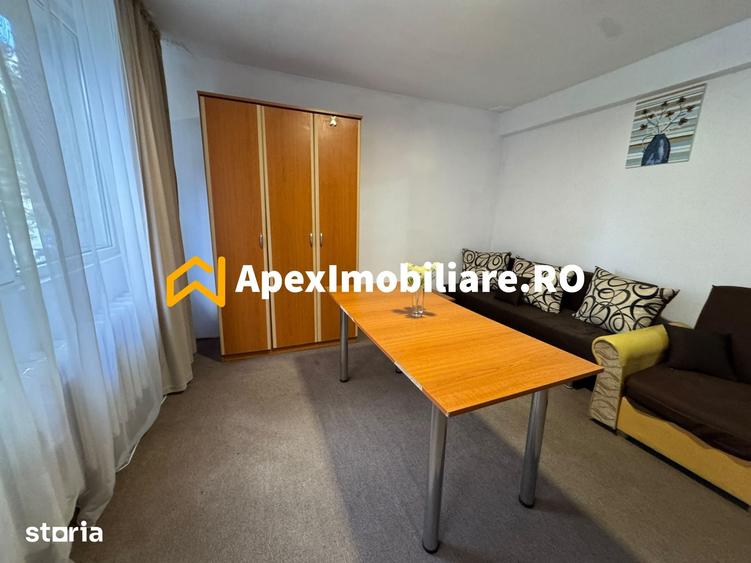 Apartament 2 camere de inchiriat Tineretului Bucuresti | ApexImobiliar - 4