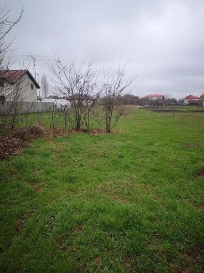 Teren Construcții intravilan de 1000 mp, în Cornetu