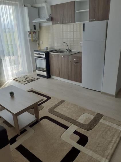 Apartament de inchiriat,zona Turnisor. - 2